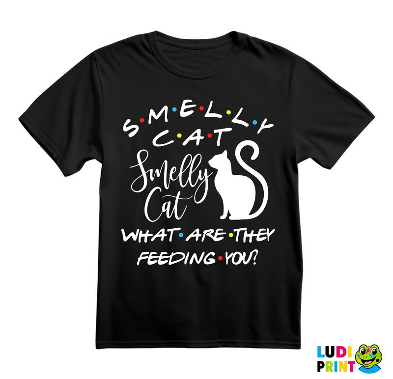 Smelly Cat What Are The Feeding You - Friends - Prijatelji - Majica