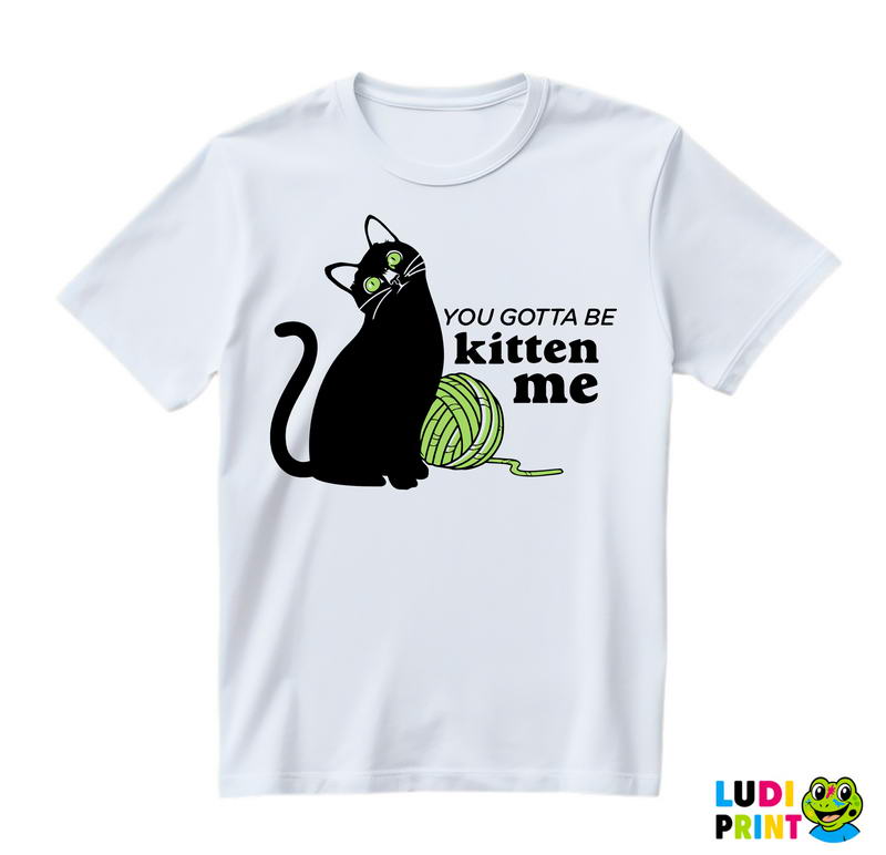 You Gotta Be Kitten Me - Cats - Mačke - Majica