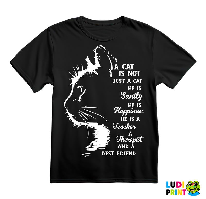 A Cat Is Not Just A Cat. He Is Sanity, He Is Happiness, He Is A Teacher, A Therapist And A Best Friend - Mačke - Cat - Majica