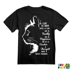 A Cat Is Not Just A Cat. He Is Sanity, He Is Happiness, He Is A Teacher, A Therapist And A Best Friend - Mačke - Cat - Majica