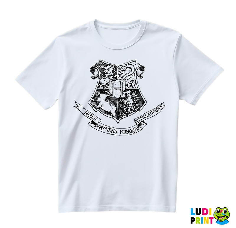 Four Houses Of Harry Potter - Harry Potter - Majica